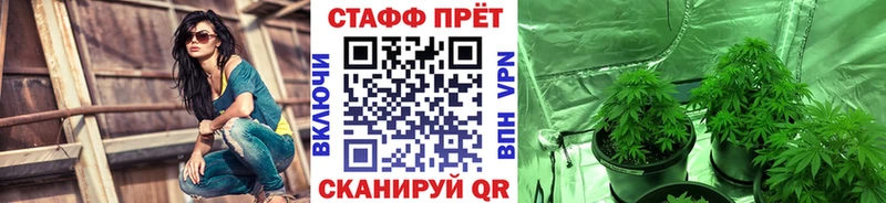 Что такое Шагонар Бошки Шишки Меф мяу мяу Cocaine APVP ГАШ