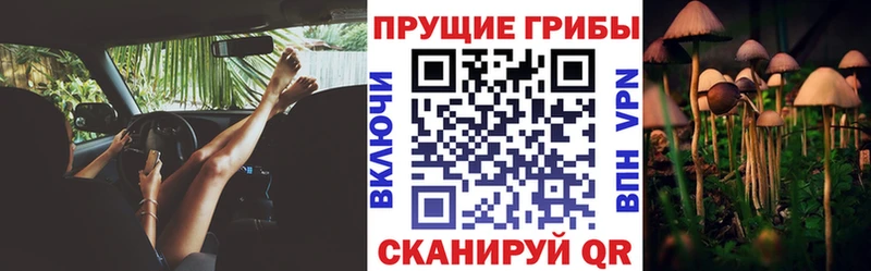 omg зеркало  как найти закладки  Шагонар  Псилоцибиновые грибы прущие грибы 