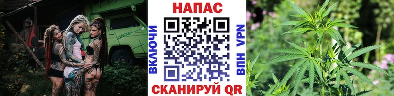 наркошоп Шагонар Марихуана индика